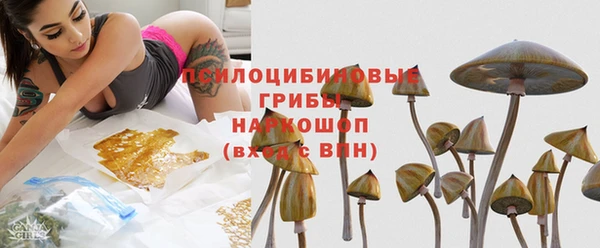 молекула духа Иннополис