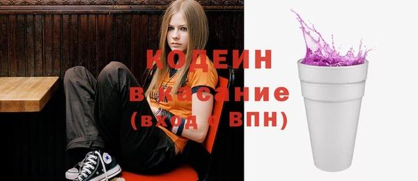 мет Инта