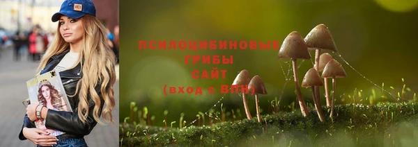 молекула духа Иннополис