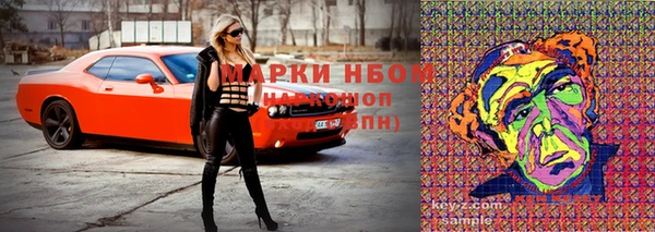 мет Инта