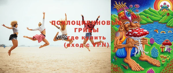 мет Инта