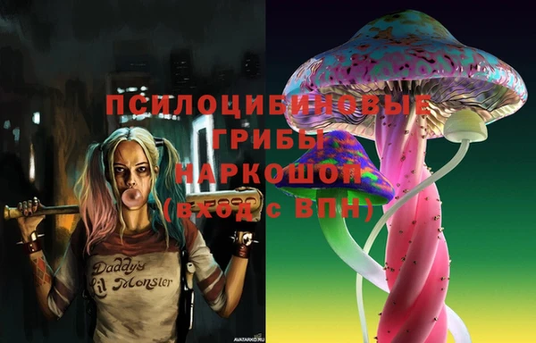молекула духа Иннополис