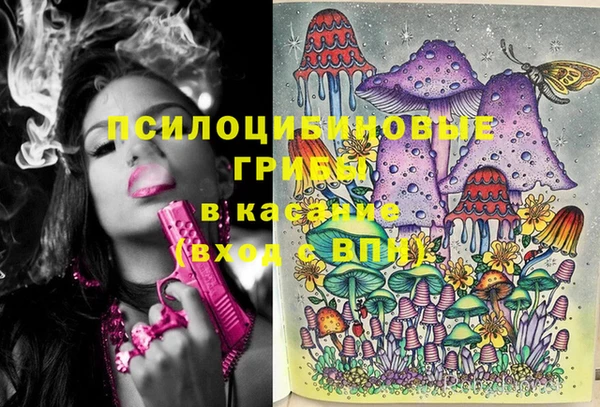 меф Инсар