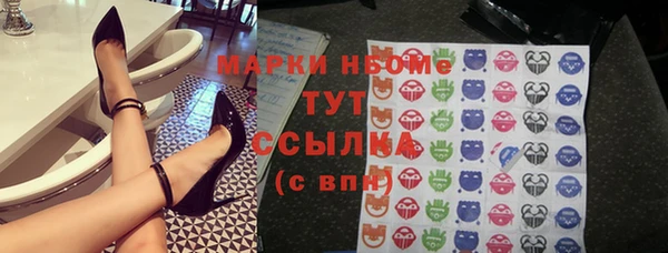 мет Инта