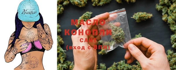 мет Инта
