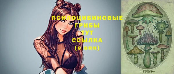 мет Инта