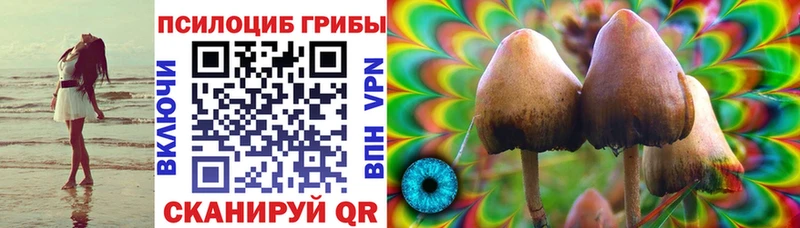 Псилоцибиновые грибы Psilocybine cubensis Купить где Вятские Поляны